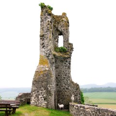 Bergfried - Teil der Burg